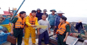 Bà Rịa - Vũng Tàu: Quyết liệt trong công tác xử lý tàu cá khai thác hải sản bất hợp pháp