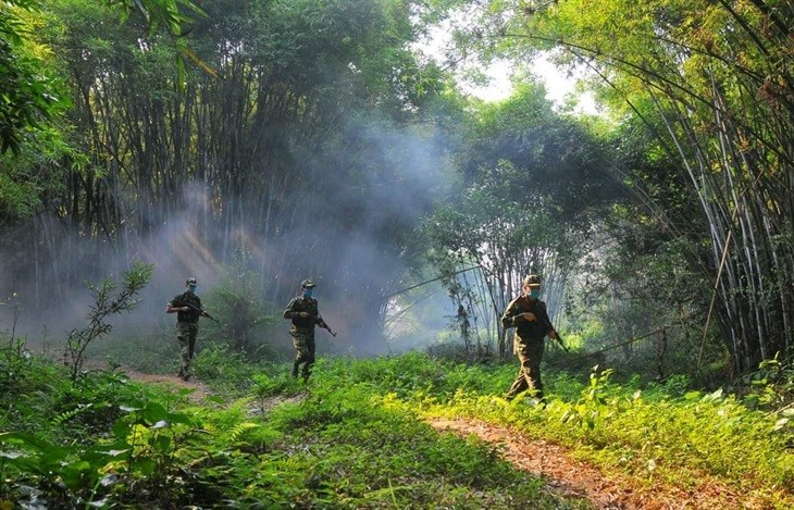 Trồng tre để bảo vệ biên giới Việt - Trung