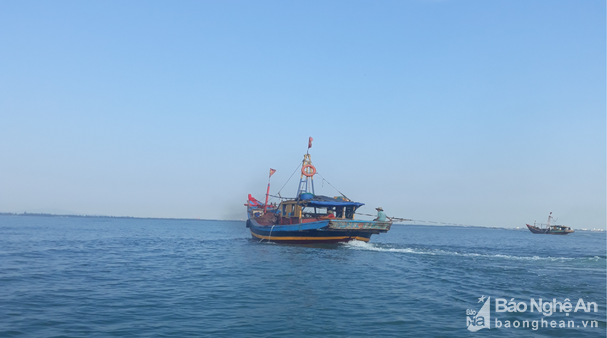 vi pham trong khai thac thuy san 3 tau ca bi phat 225 trieu