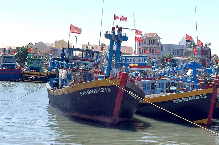 Bình Thuận, Kiên Giang tập trung chống khai thác hải sản vi phạm vùng biển nước ngoài