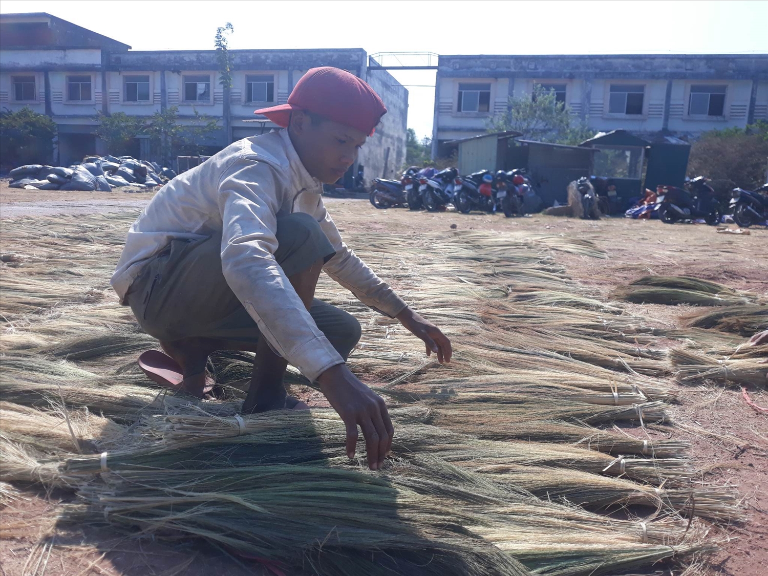 Cùng với nhiều lao động khác, mùa đót rừng năm nay đã giúp anh Hồ Văn Nhơn, dân tộc Bru - Vân Kiều ở xã Húc có công việc ổn định, thu nhập khá trong nhiều tháng qua