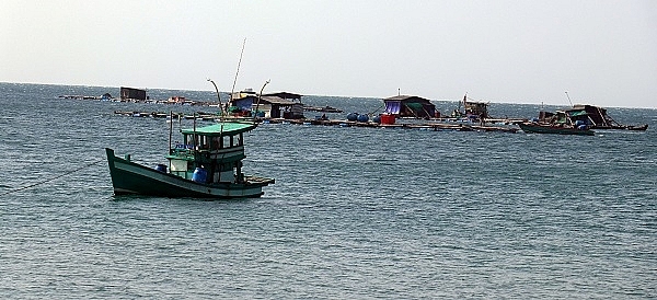 Kiên Giang: huy động hơn 12 nghìn tỷ đồng để phát triển nuôi biển bền vững