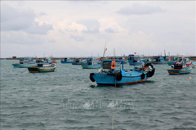 Bình Thuận: Không cho xuất bến đối với tàu cá chưa lắp thiết bị giám sát