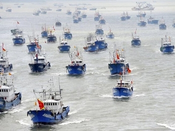 Nhiều hoạt động của Trung Quốc khiến hệ sinh thái ở Biển Đông đang nguy cấp