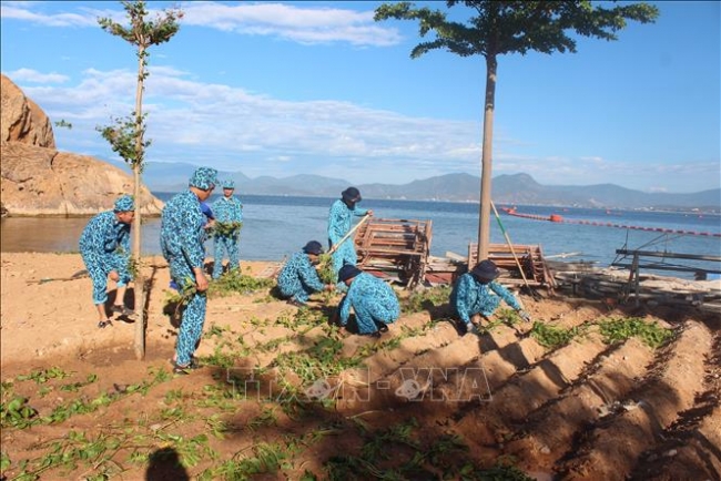Hiệu quả thiết thực từ mô hình doanh trại Hải quân xanh - sạch - đẹp