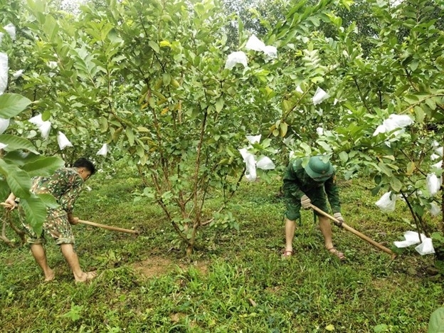 Thêm những mô hình sinh kế giúp bà con Vân Kiều thoát nghèo
