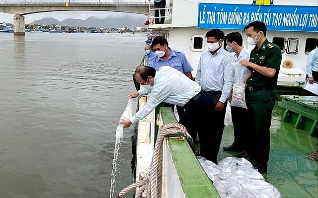 Thả 1 triệu con tôm giống ra biển, tái tạo nguồn lợi thủy sản