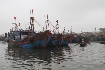 Kiên quyết xử lý tổ chức, cá nhân để tàu cá khai thác hải sản trái phép tại vùng biển nước ngoài