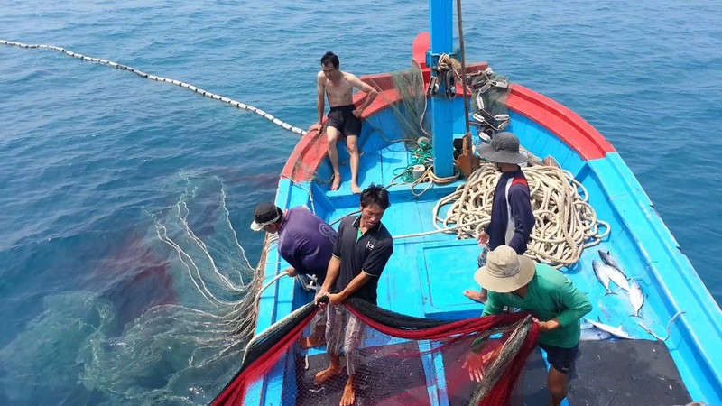 Ngư dân vẫn đánh bắt thủy hải sản bình thường trên các ngư trường thuộc chủ quyền của Việt Nam.