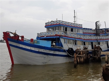 Cà Mau: Bắt giữ tàu cá Bình Thuận chở người nhập cảnh trái phép