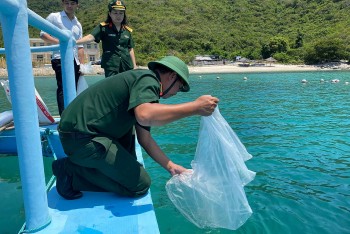 Thả con giống cá ngựa đen để tái tạo nguồn lợi thủy sản tại đảo Hòn Tre (Nha Trang)