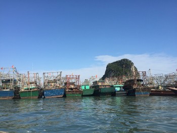 Vân Đồn tăng cường các biện pháp đảm bảo an toàn cho các tàu cá và ngư dân bám biển Vân Đồn tăng cường các biện pháp đảm bảo an toàn cho các tàu cá và ngư dân bám biển