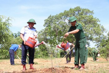Trồng 2.000 cây xanh tại các huyện biên giới tỉnh Đắk Lắk