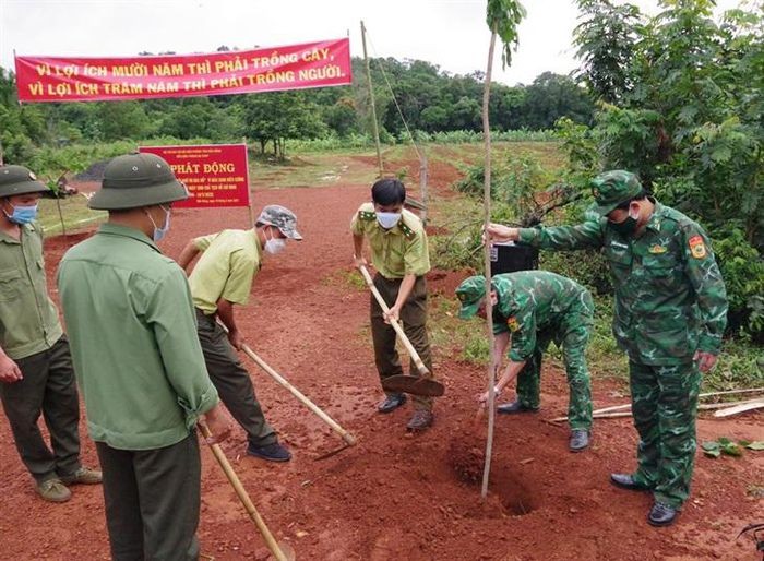 Tết trồng cây vì một biên cương xanh