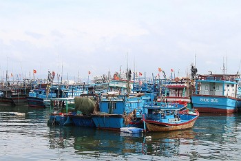 Ngư dân Khánh Hoà tiếp tục bám biển, lệnh ngừng đánh cá của Trung Quốc không có giá trị