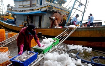 Bình Thuận hỗ trợ 10 triệu đồng cho mỗi tàu cá mua và lắp đặt thiết bị giám sát hành trình Bình Thuận hỗ trợ 10 triệu đồng cho mỗi tàu cá mua và lắp đặt thiết bị giám sát hành trình