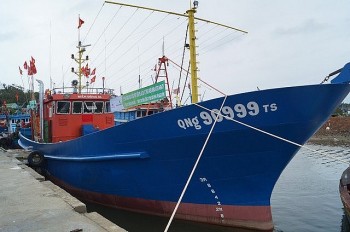Hàng loạt tàu cá của ngư dân bị ngân hàng khởi kiện ra toà