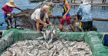 Philippines phản đối lệnh cấm đánh bắt cá đơn phương của Trung Quốc ở Biển Đông