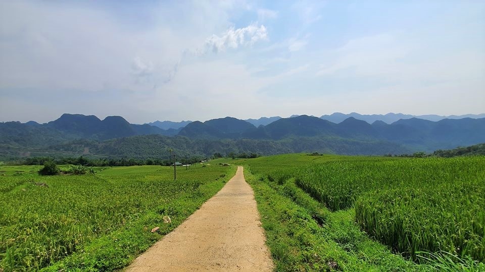 Con đường nhỏ xinh dẫn vào Pù Luông.