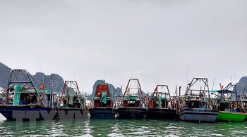 Quảng Ninh tháo gỡ khó khăn cho ngư dân trước giá xăng dầu tăng