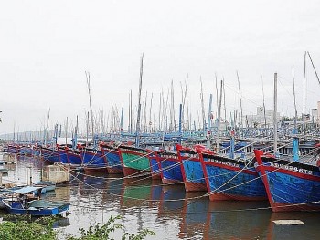 Điều tra, xử lý các tàu cá vi phạm quy định về khai thác hải sản