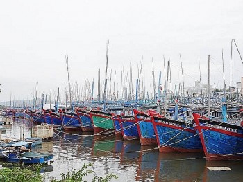 dieu tra xu ly cac tau ca vi pham quy dinh ve khai thac hai san