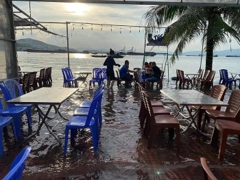 thuy trieu dang du khach vua nhau vua ngam chan trong nuoc bien