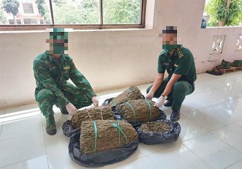 Bắt vụ vận chuyển 18 kg cần sa qua biên giới An Giang Bắt vụ vận chuyển 18 kg cần sa qua biên giới An Giang