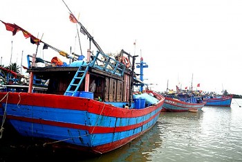 Quảng Nam, Bến Tre kiểm soát IUU vì một nghề cá bền vững Quảng Nam, Bến Tre kiểm soát IUU vì một nghề cá bền vững