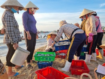 ngu dan quang binh trung dam luong ca trich