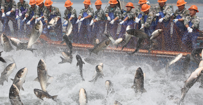 Mỹ tăng cường hợp tác với Việt Nam chống nạn đánh bắt cá trái phép trên biển