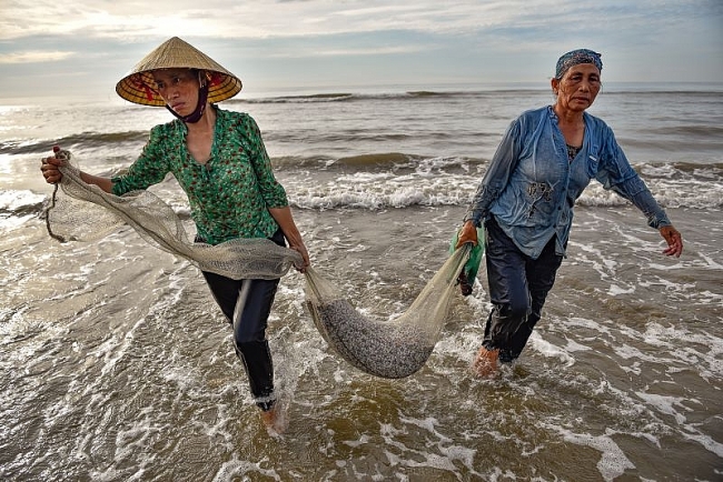 Mùa cào dắt biển