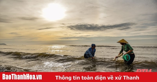 mua cao dat bien