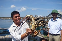 san vat bien phu quy thu hut du khach