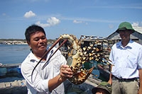 Sản vật biển Phú Quý thu hút du khách