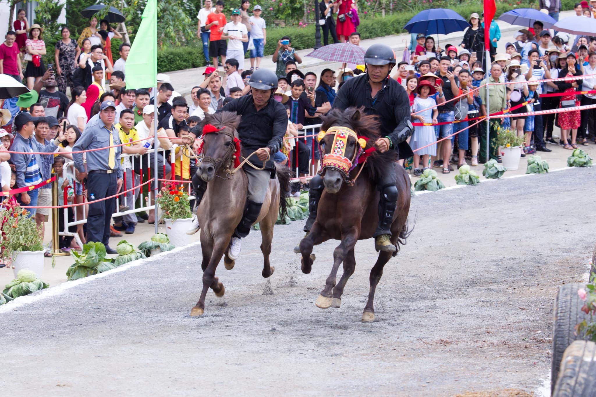 Đến Sa Pa trải nghiệm giải đua "Vó ngựa trên mây" | Thời Đại