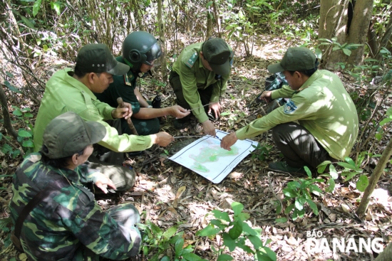 xuyen rung go bay mang lai yen binh cho ban dao son tra