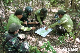 Xuyên rừng gỡ bẫy mang lại yên bình cho bán đảo Sơn Trà