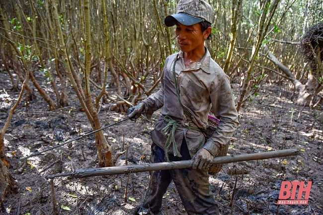 Theo chân thợ săn cá nhệch kiếm tiền triệu mỗi ngày