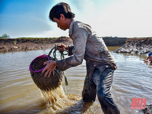 Theo chân thợ săn cá nhệch kiếm tiền triệu mỗi ngày