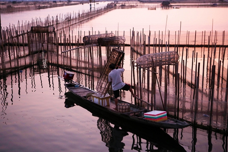 Trù phú đầm phá Tam Giang - Cầu  Hai