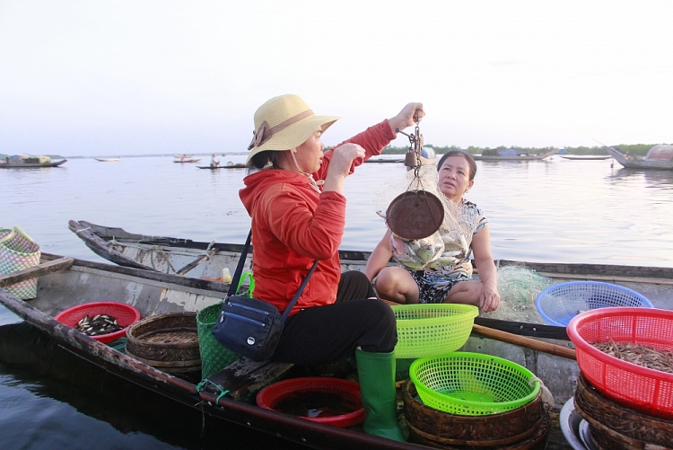 Trù phú đầm phá Tam Giang - Cầu  Hai