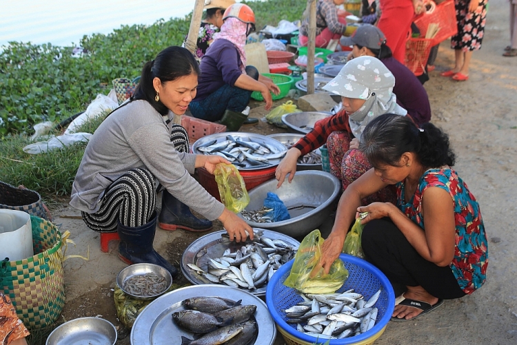 Trù phú đầm phá Tam Giang - Cầu  Hai