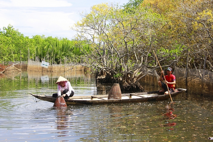 Trù phú đầm phá Tam Giang - Cầu  Hai