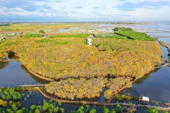 Trù phú đầm phá Tam Giang - Cầu  Hai