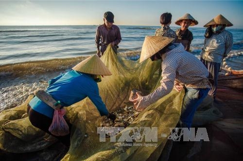 Thanh Hóa: Khắc phục "thẻ vàng" IUU giúp ngư dân chủ động khai thác biển