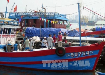 Quảng Nam: Động viên ngư dân giữ vững chuỗi sản xuất