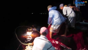 Video: Ngư dân Phổ Quang kiên trì bám biển