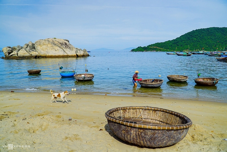 Cù Lao Chàm mùa hoa ngô đồng