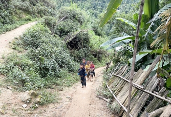 ve ban hang de dai